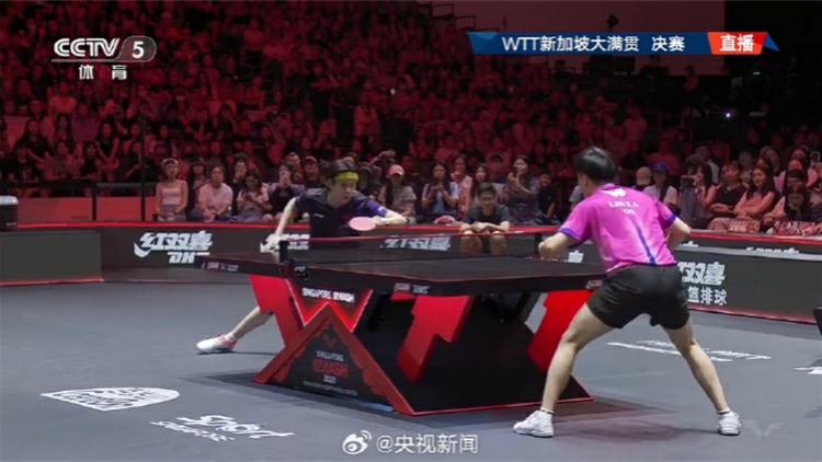 王楚欽男單奪冠 孫穎莎女單奪冠