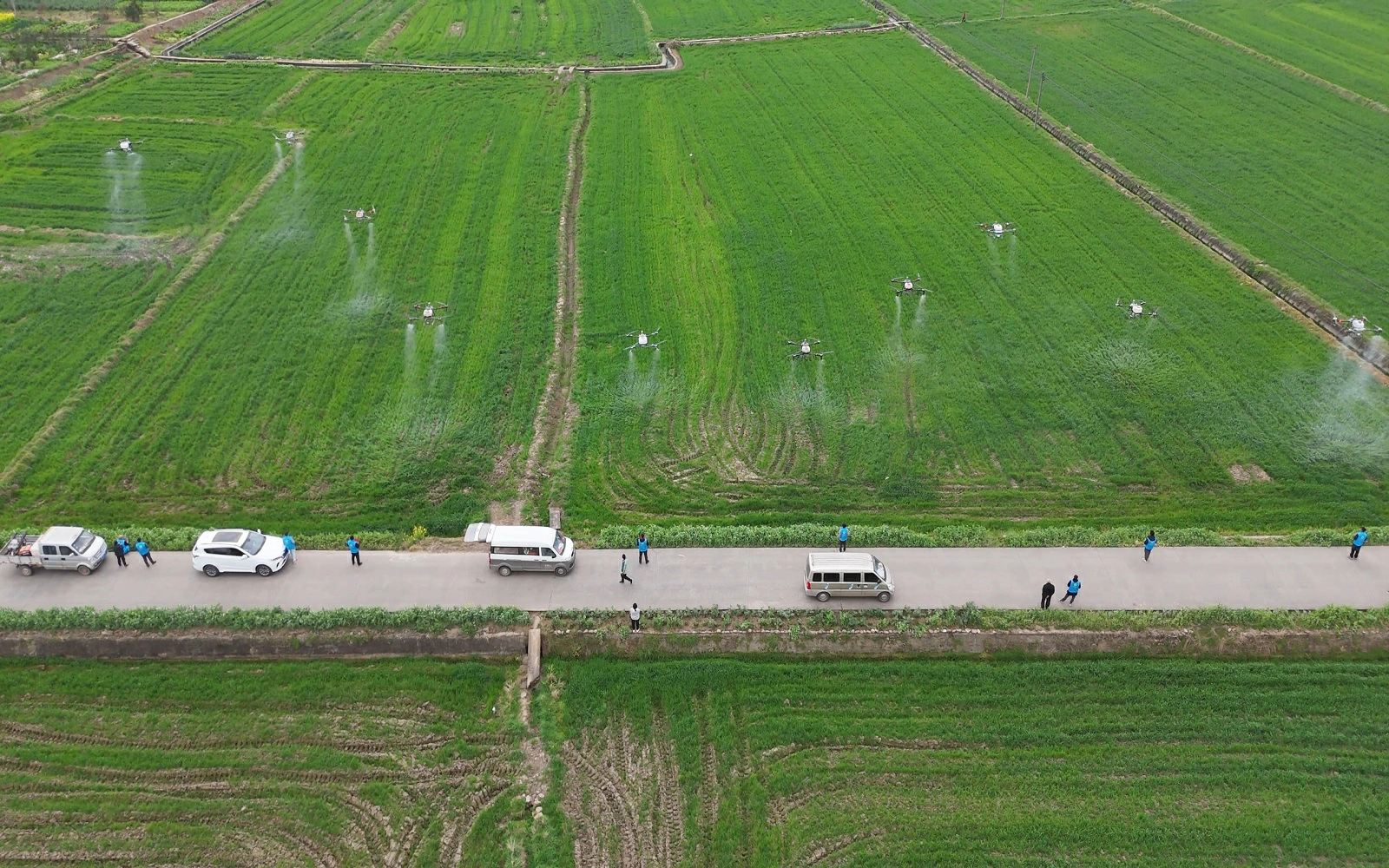 保豐收增農效 四川梓潼春耕備耕農資足服務優農戶省心