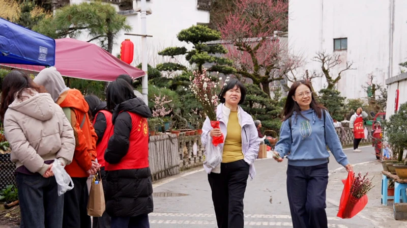 徽派盆景重要發源地  皖歙縣賣花漁村春意濃