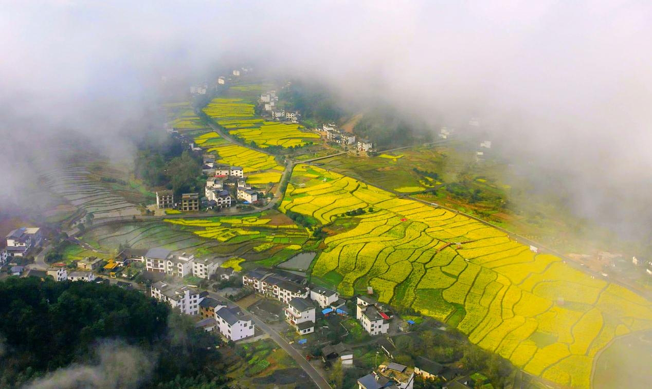 湖南新寧：邂逅崀山賞花海  丹霞「金浪」醉遊人