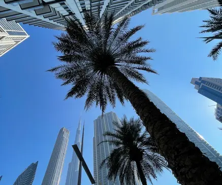 美國下令非必要政府人員撤離中東五國 