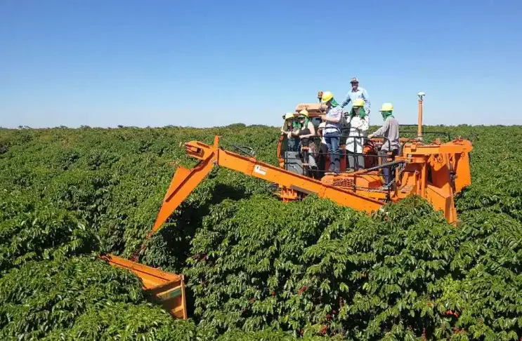 巴西2025年GDP增長2.3%  農業成經濟增長最大拉動力