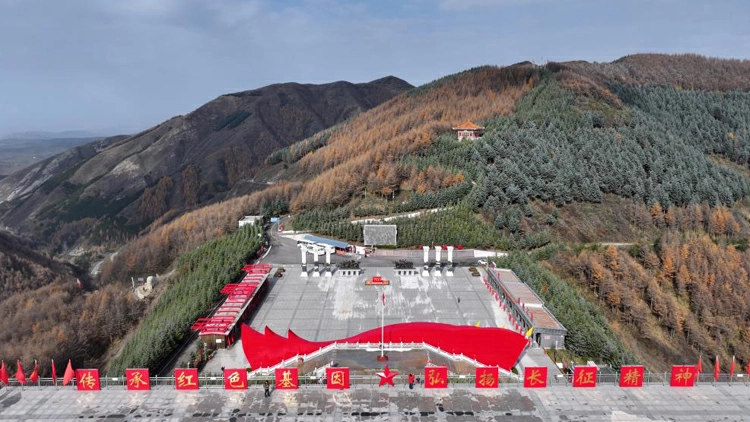 全國兩會丨從一線到會場！約5000名代表委員赴盛會