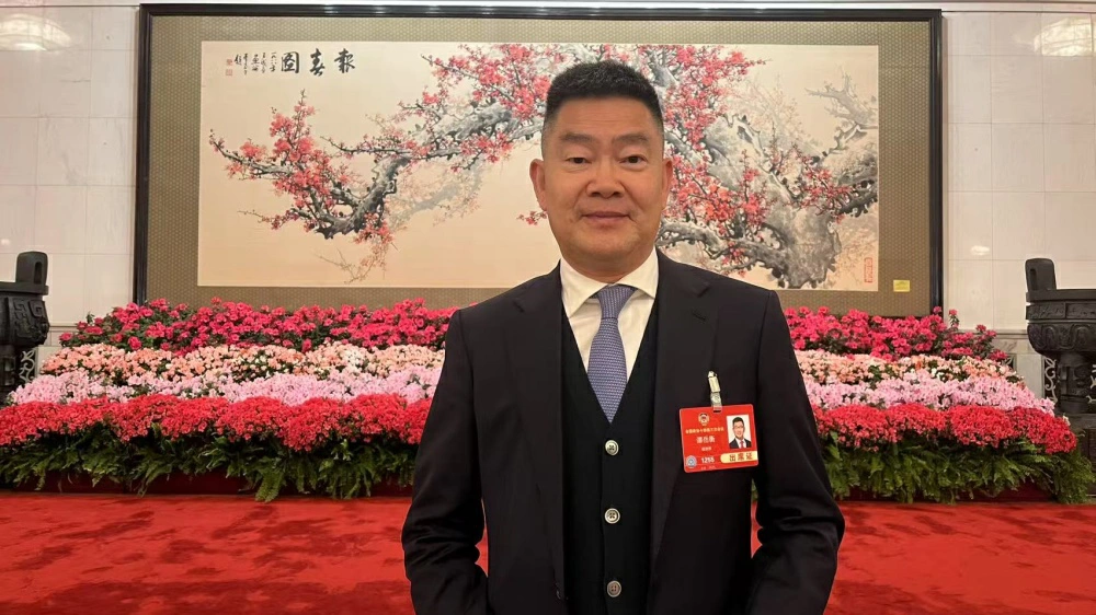 全國政協委員譚岳衡籲支持香港引領新興領域國際規則制定、參與全球金融治理