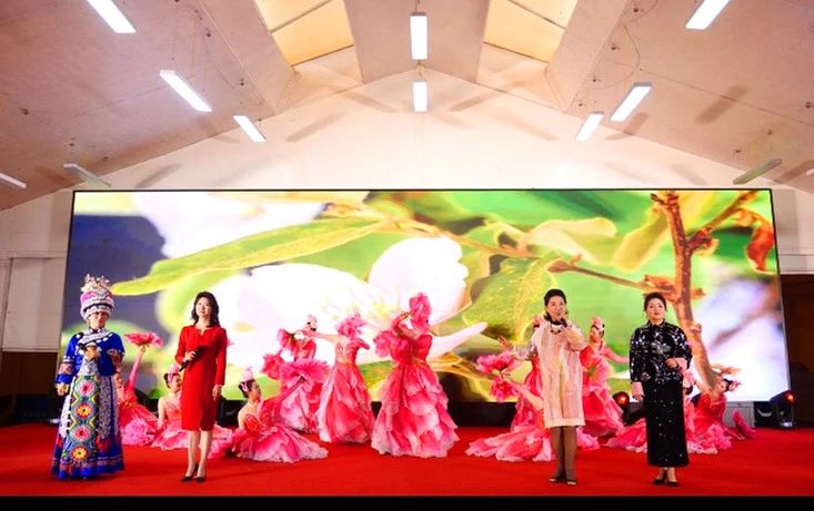 黃山休寧：凝聚巾幗力量  攜手同行共富路