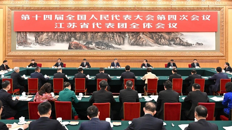 習近平參加江蘇代表團審議