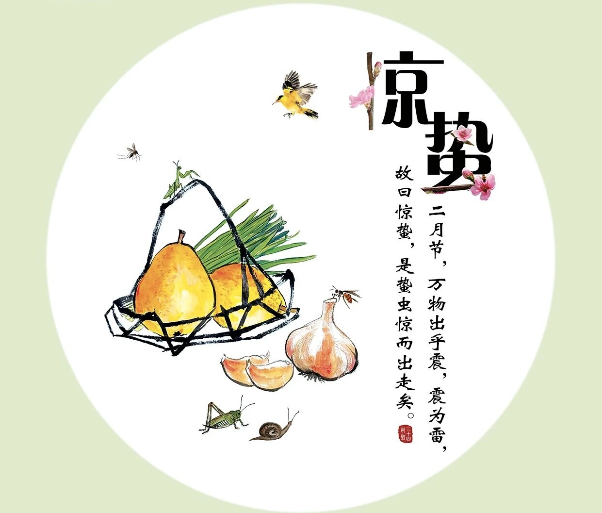 驚蟄｜春雷響 萬物長 一口嘗盡春日鮮