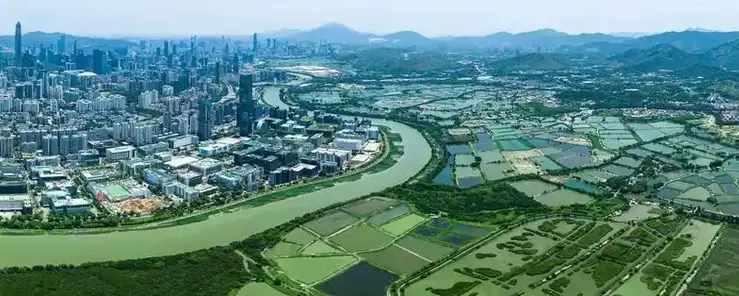 【全國兩會】「十五五」規劃綱要草案提到  加快北都建設 深化粵港澳合作