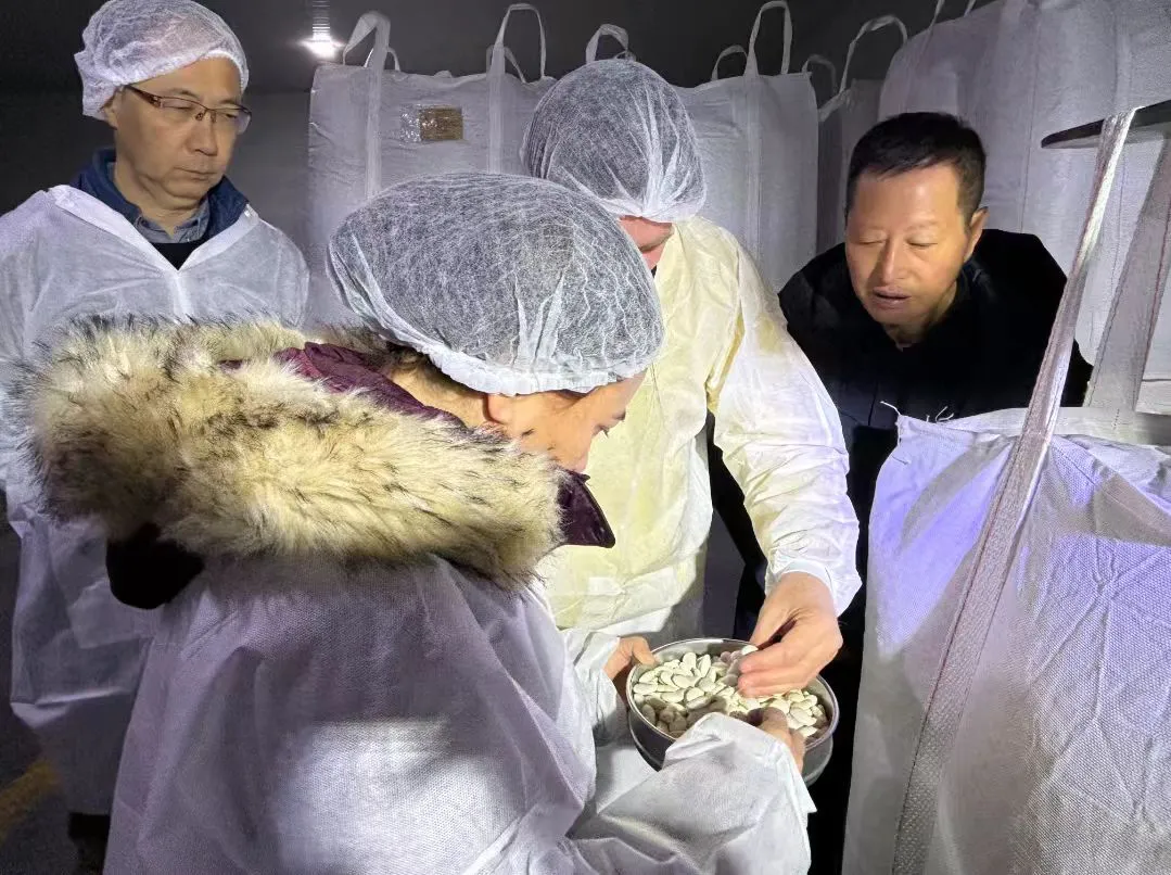 山西天鎮特優農產品「出海」國際市場