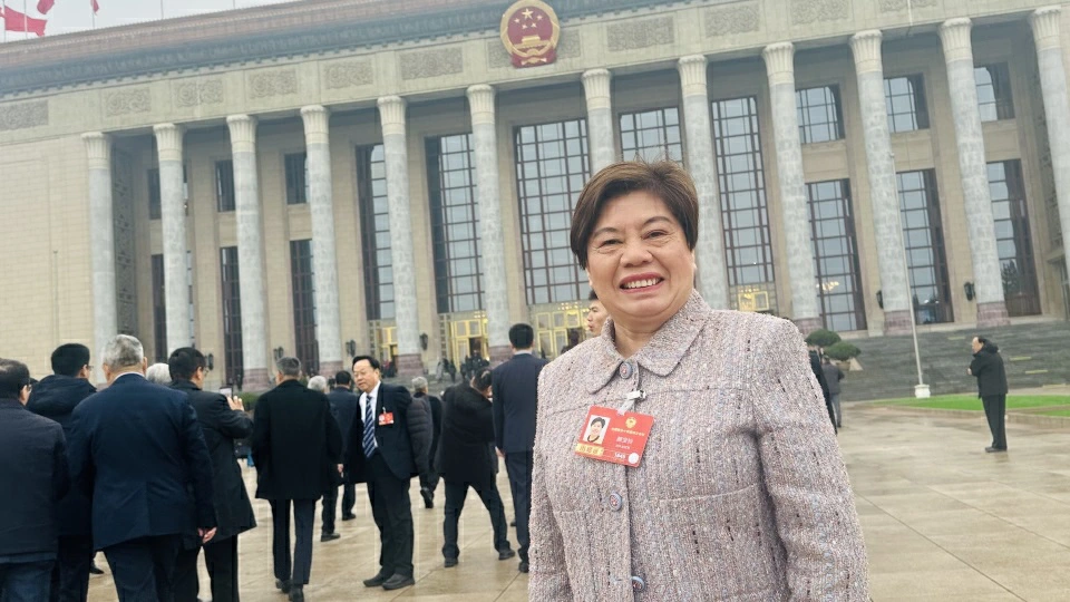 全國兩會 | 顏寶鈴：中資金融機構應該加強布局新興市場