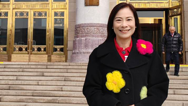 全國兩會｜陳曼琪：切實履行維護國家安全責任 護航香港實現良政善治