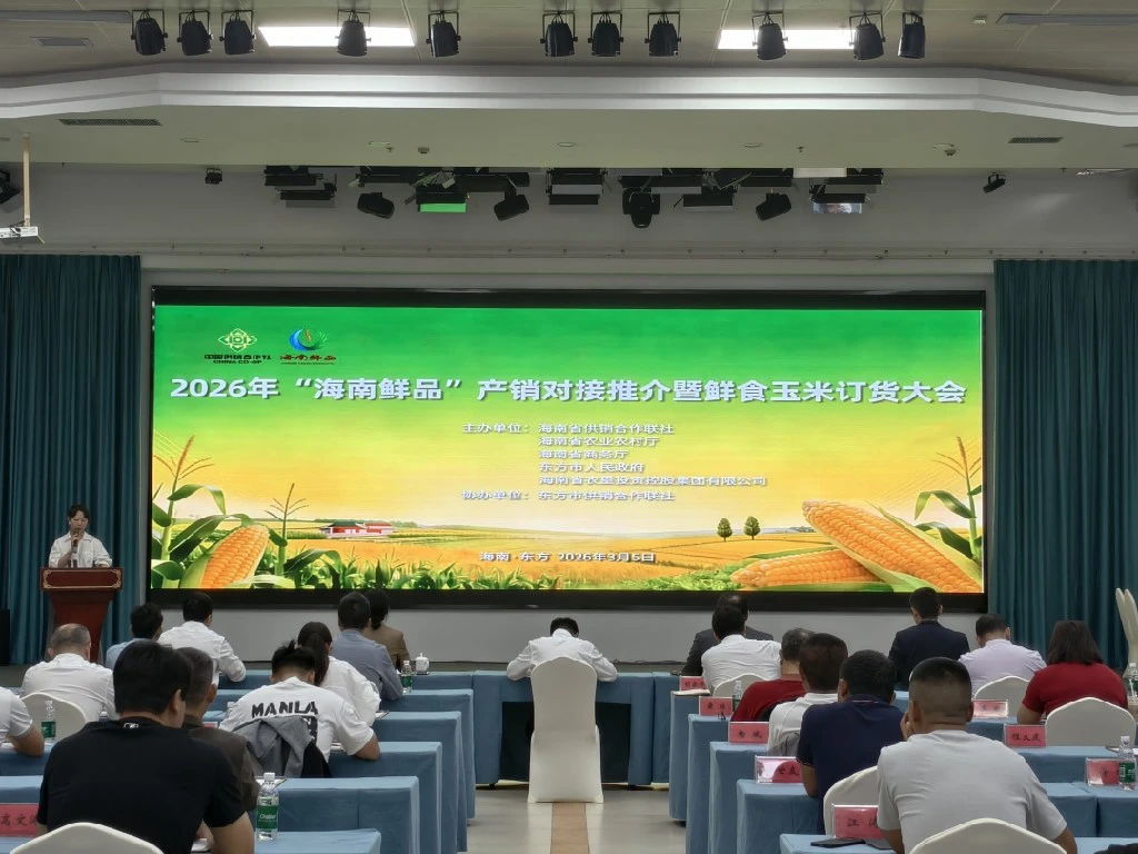 海南省東方市鮮食玉米訂貨大會舉辦 現場簽約採購玉米約200萬斤