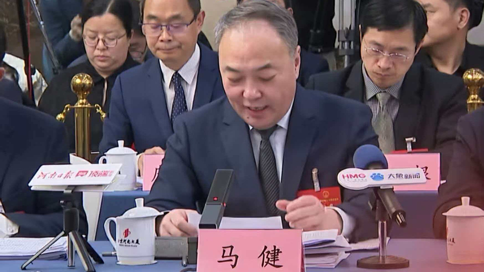 全國兩會｜馬健：縱深推進融入服務全國統一大市場 加快打造國內外雙循環支點