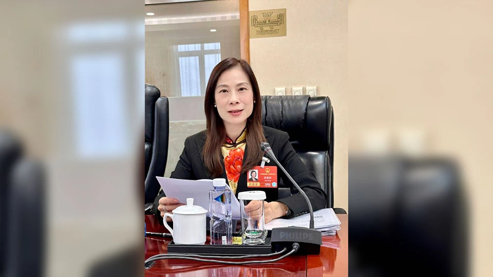 全國兩會 | 陳曼琪:高度評價國家發展規劃法（草案）