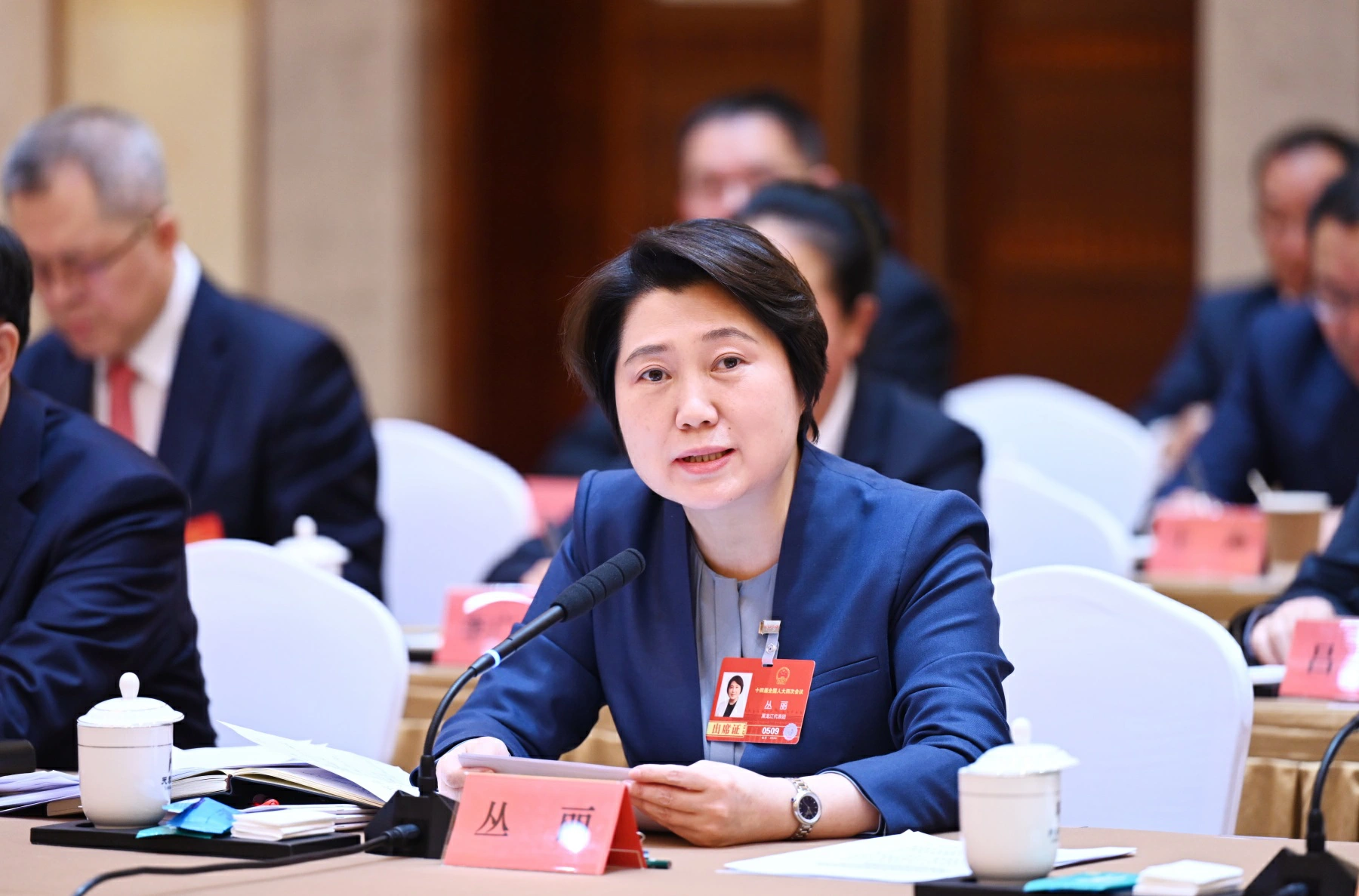 全國人大代表丛麗：以科技創新引領產業振興 書寫黑龍江自立自強新篇章