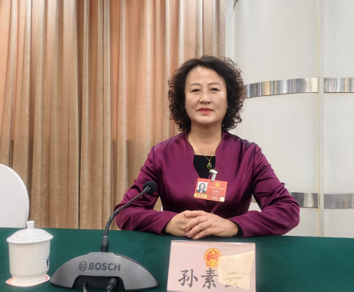 有片丨守護「三農」生命線 孫素雲代表建議從嚴打擊製售假劣農資