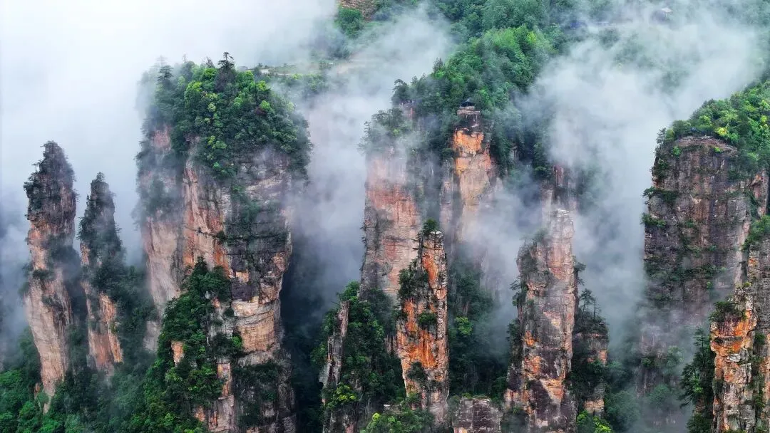 致採訪全國兩會的外籍記者：請從北京出發，來張家界看看「真實的中國仙境」