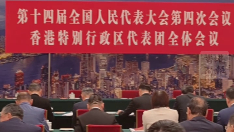 有片｜【木子上會】風中追訪趣事多 有委員愛吃肯德雞 有代表會AI剪片