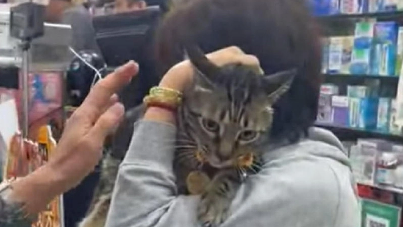 【眾議園】「阻B」貓回來 室內飼養最好