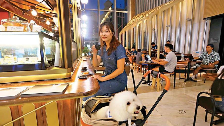 狗隻入食肆措施料5月8日生效 食物業規例修訂下周三交立會審議