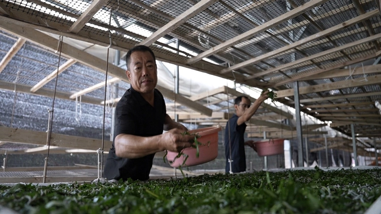 58個民生項目接續落地 四川綿陽遊仙人大票決制把實事辦到群眾心坎上