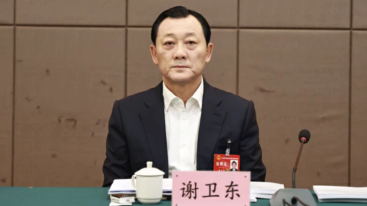 謝衛東代表：深耕四大文化 打造雙遺之城 以法治護航朝陽文旅高質量發展