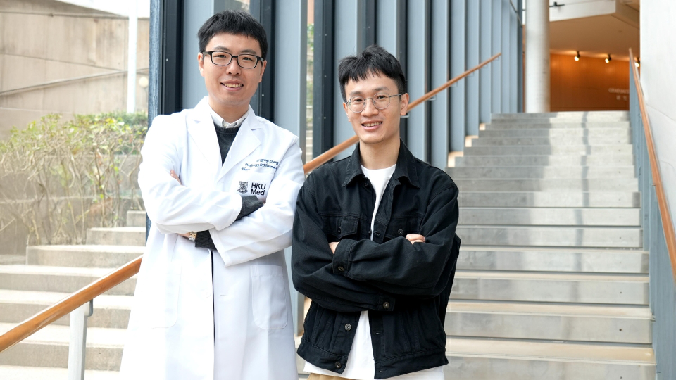 港大醫學院創新AI工具  一次血液檢測提前15年預測心血管疾病風險 