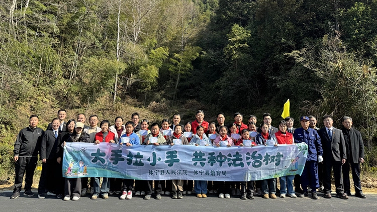 皖休寧法院：守古植新 綠脈永續