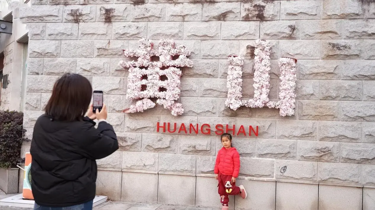 皖屯溪：春風拂過馬頭牆 滿城芳菲迷人眼