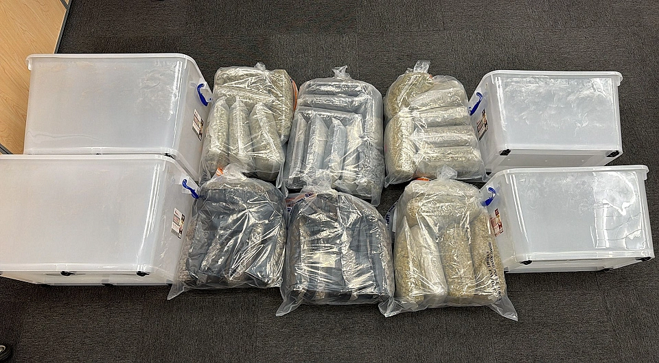 警方上水破毒品儲存倉 拘一男檢700萬元大麻