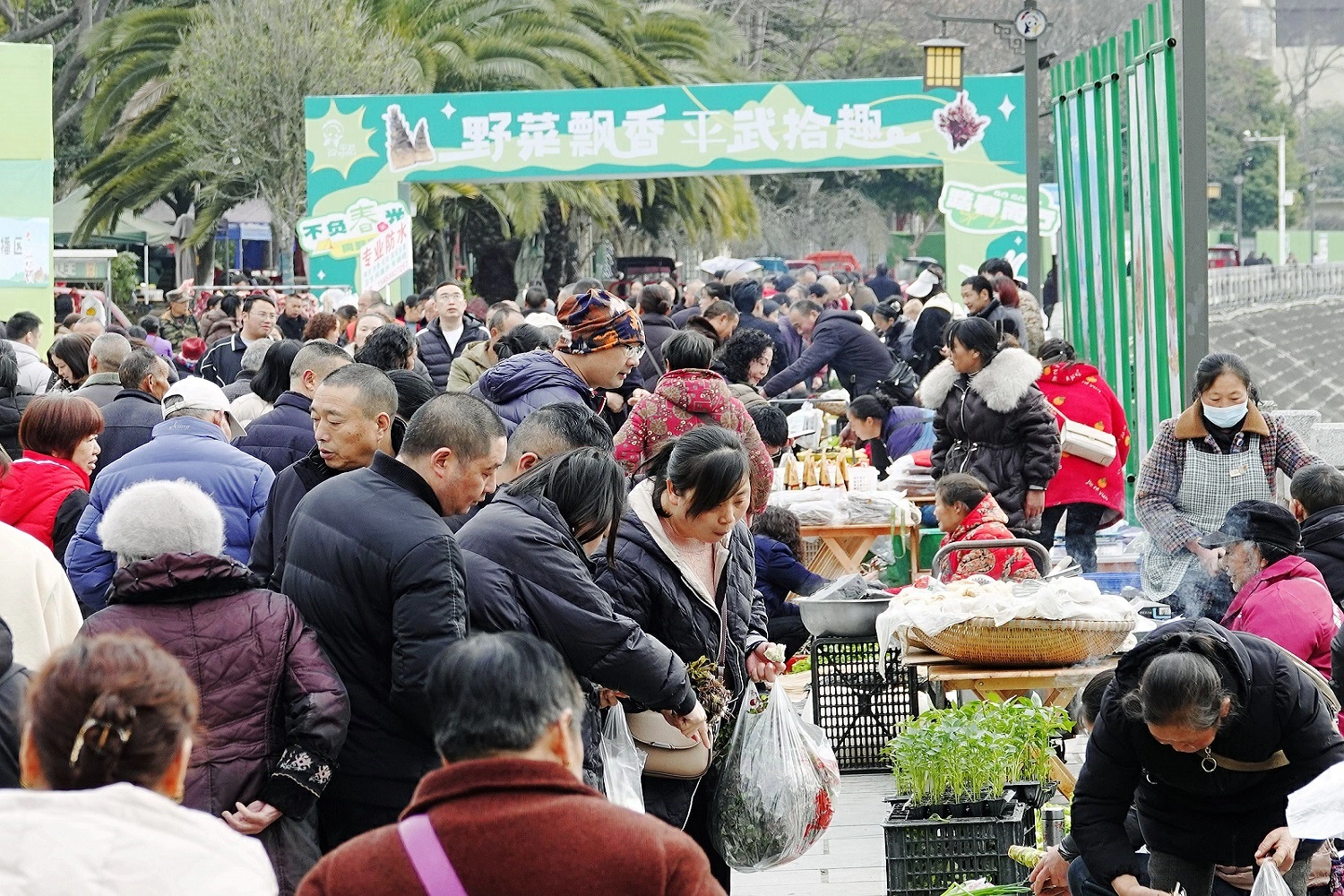 山野菜搶「鮮」上市 四川平武「春日經濟」持續升溫