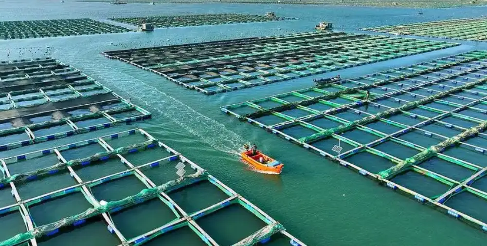 2025年中國海洋生產總值同比增長5.5%