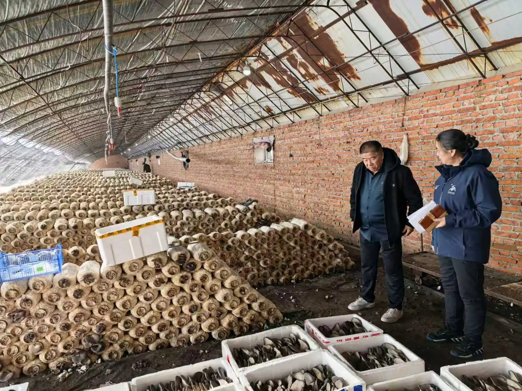 哈市香坊區備春耕生產有序推進