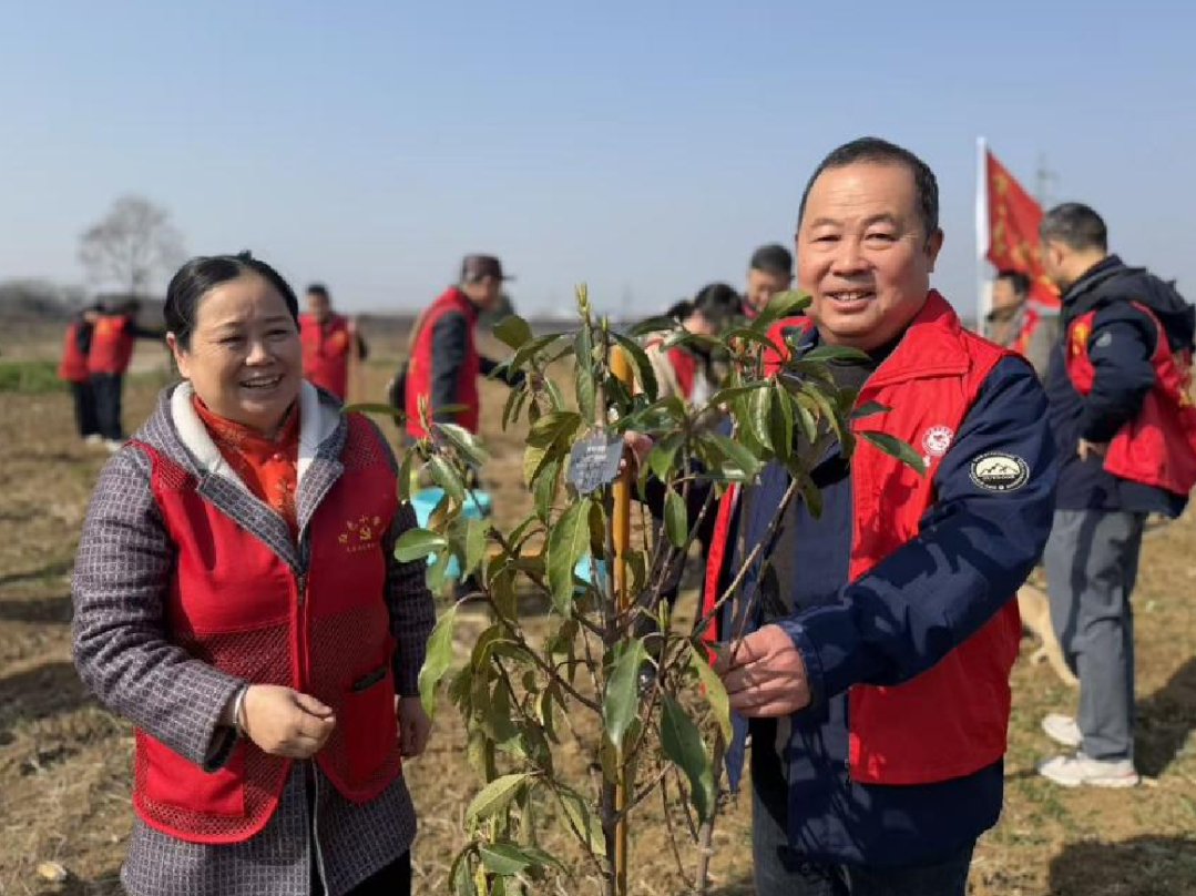 合肥高新區：植樹正當時