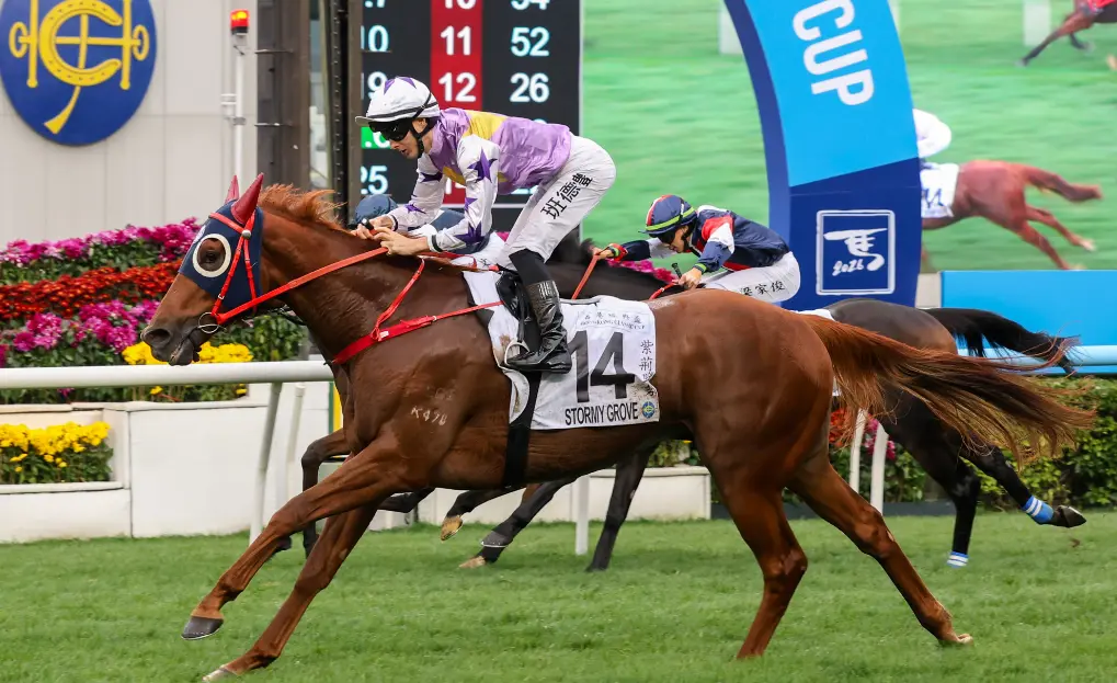 打吡大賽優先出賽馬匹名單出爐 小鳥天堂掛頭牌 羅富全三路興兵