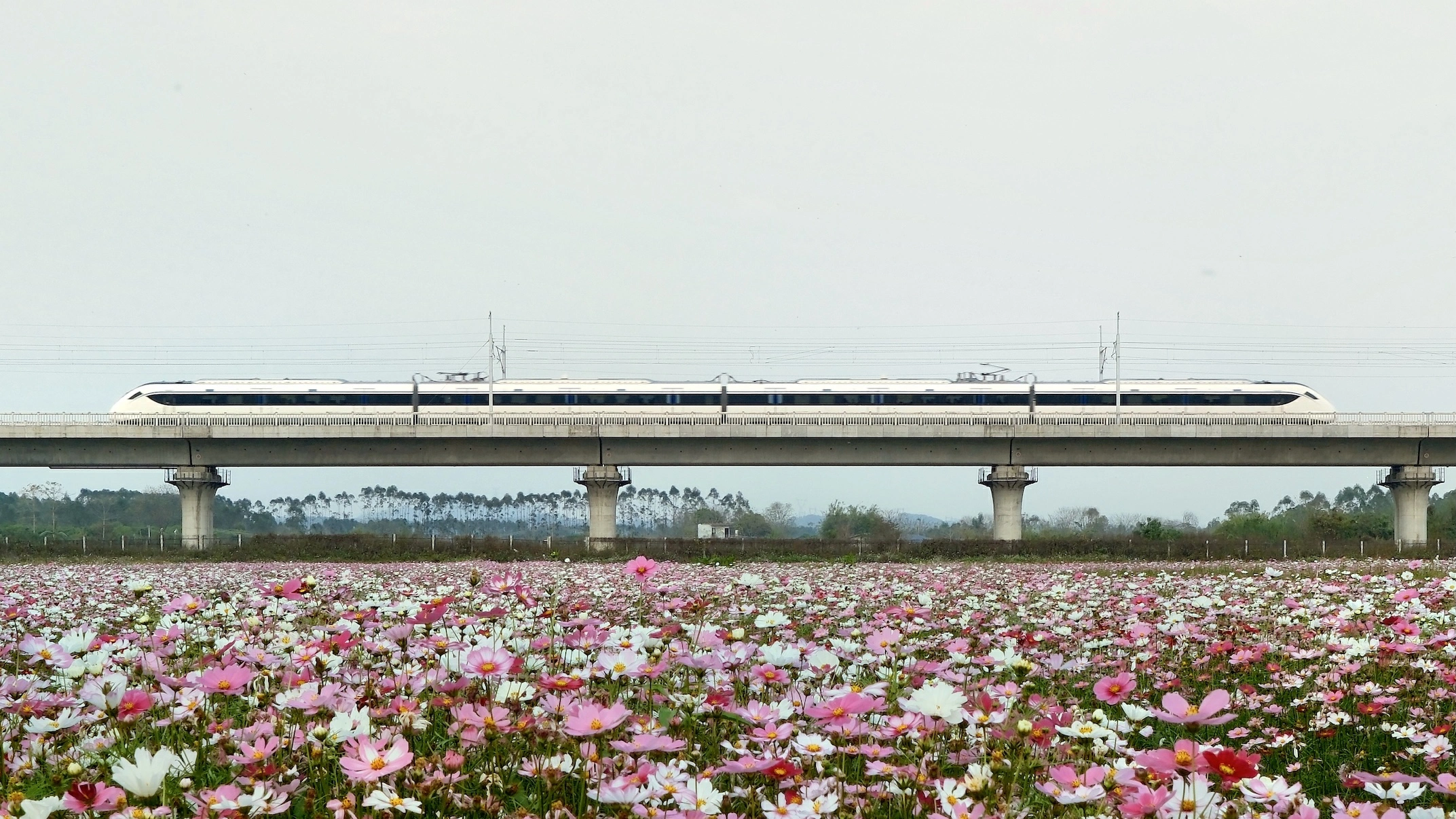 優化長距離交路、加開21列車  3月15日起，廣東城際第五次調圖