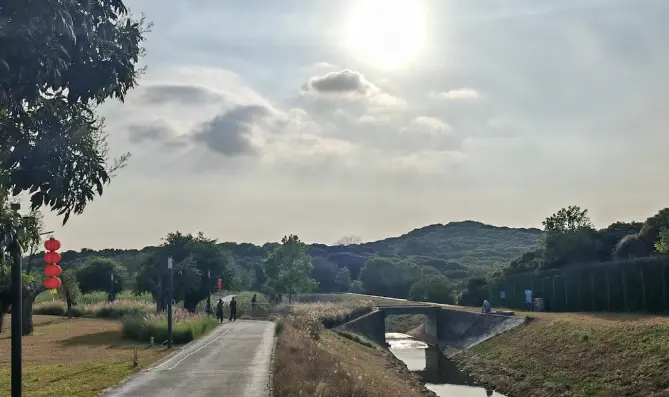 港深地名故事丨尋找西麗的起源：見龍在田