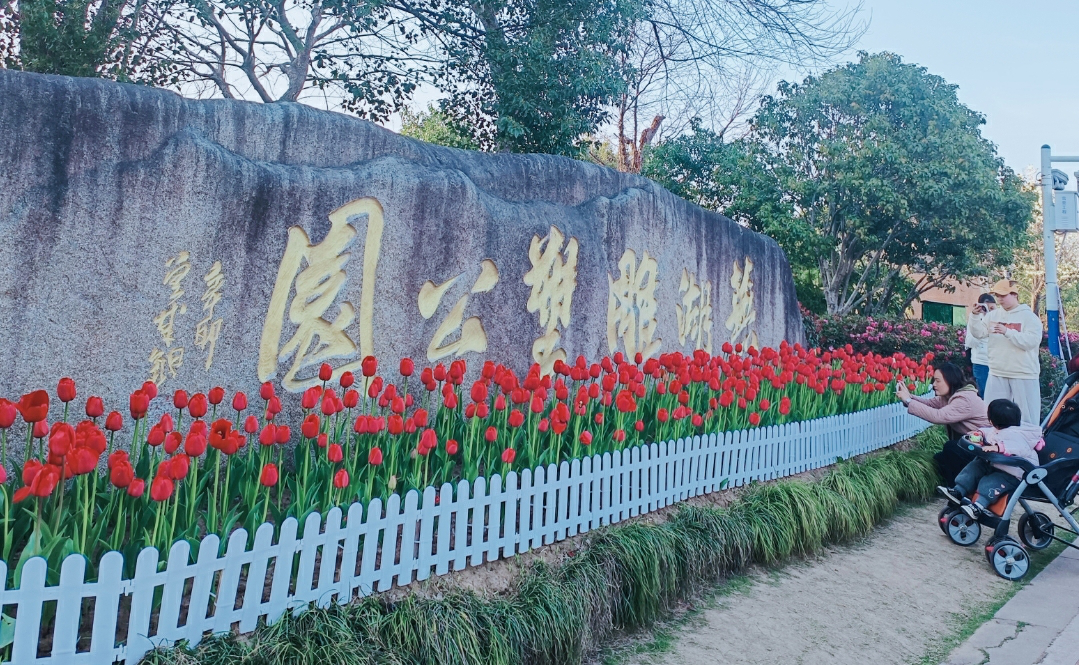 安徽蕪湖：繁花滿城 「郁」見美好