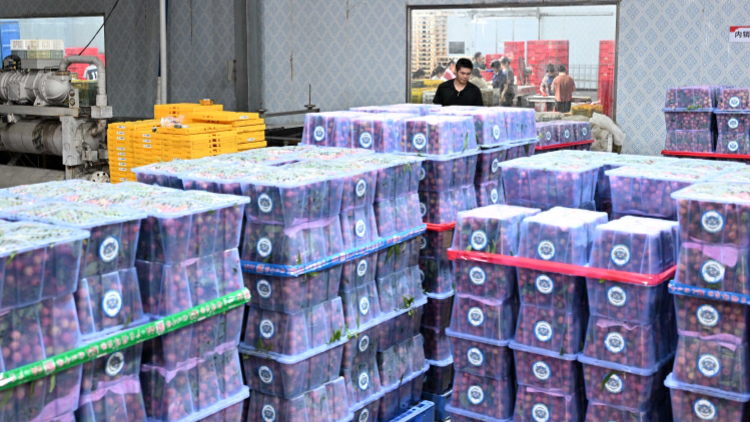 2025年廣東消委會系統投訴量首破百萬，挽回經濟損失約4.48億元