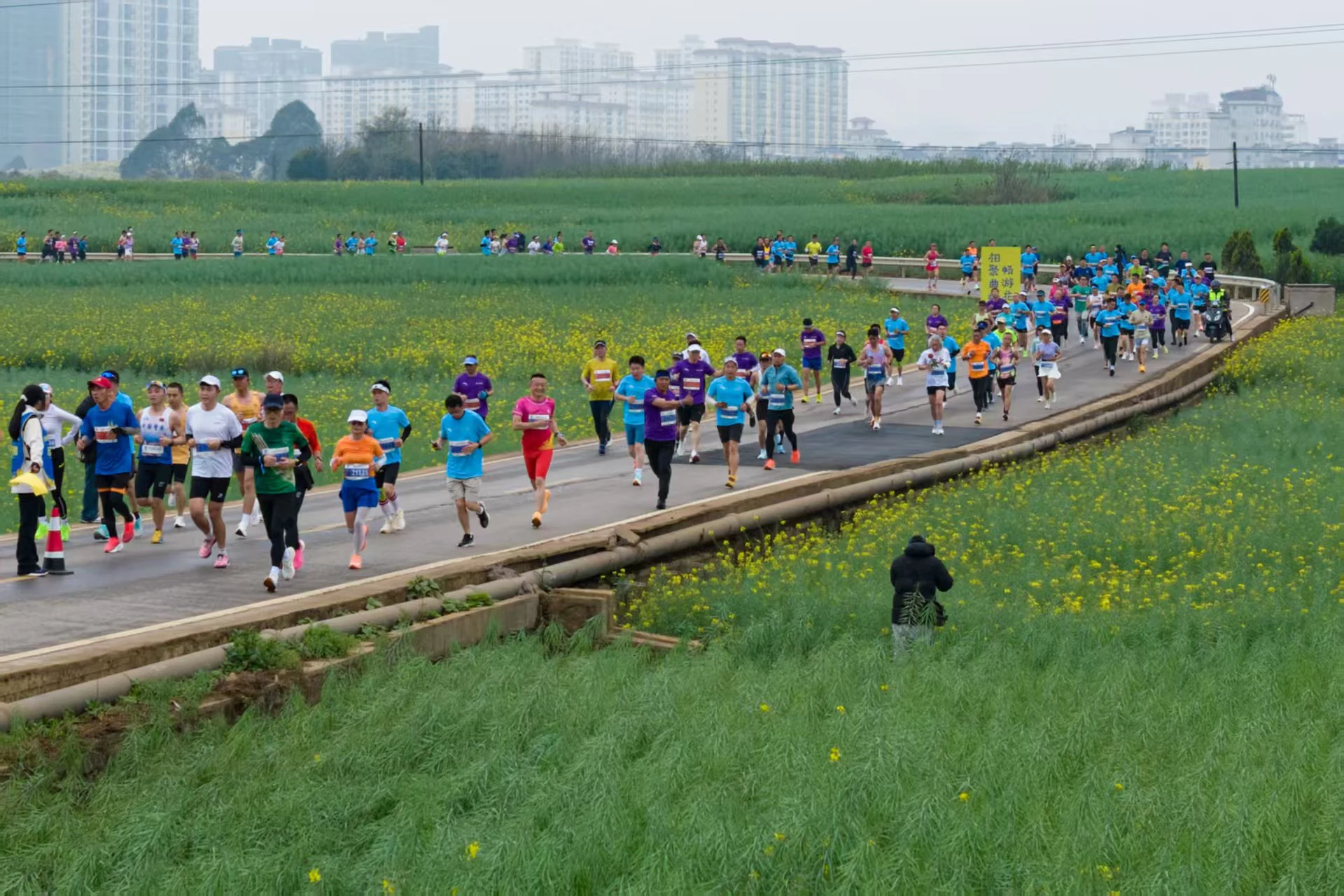 跟着賽事游雲南 春天花海樂跑季  2026成天油脂·曲靖羅平花海馬拉松鳴槍開跑