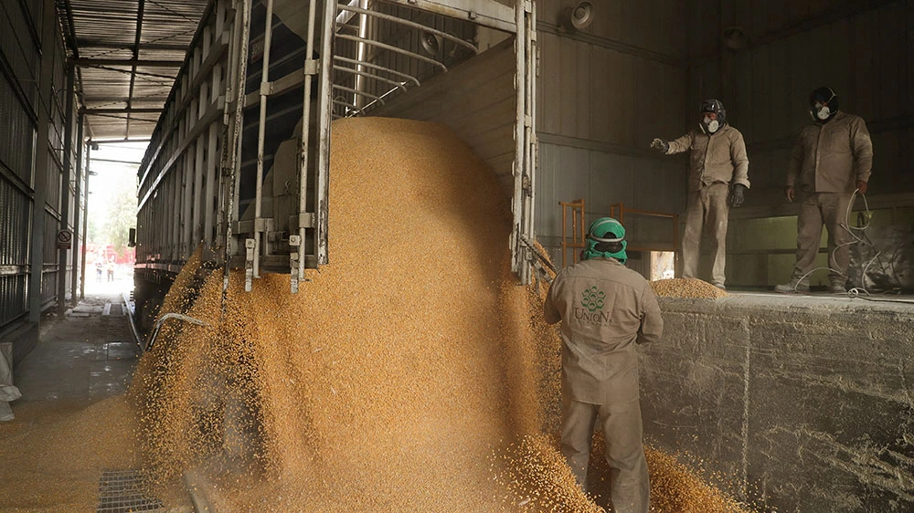 中東衝突導致農產品價格波動 美國農業生產及收成受嚴重影響