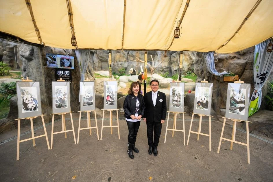 香港大熊貓於黃湘詅「墨韻熊貓」畫展登場