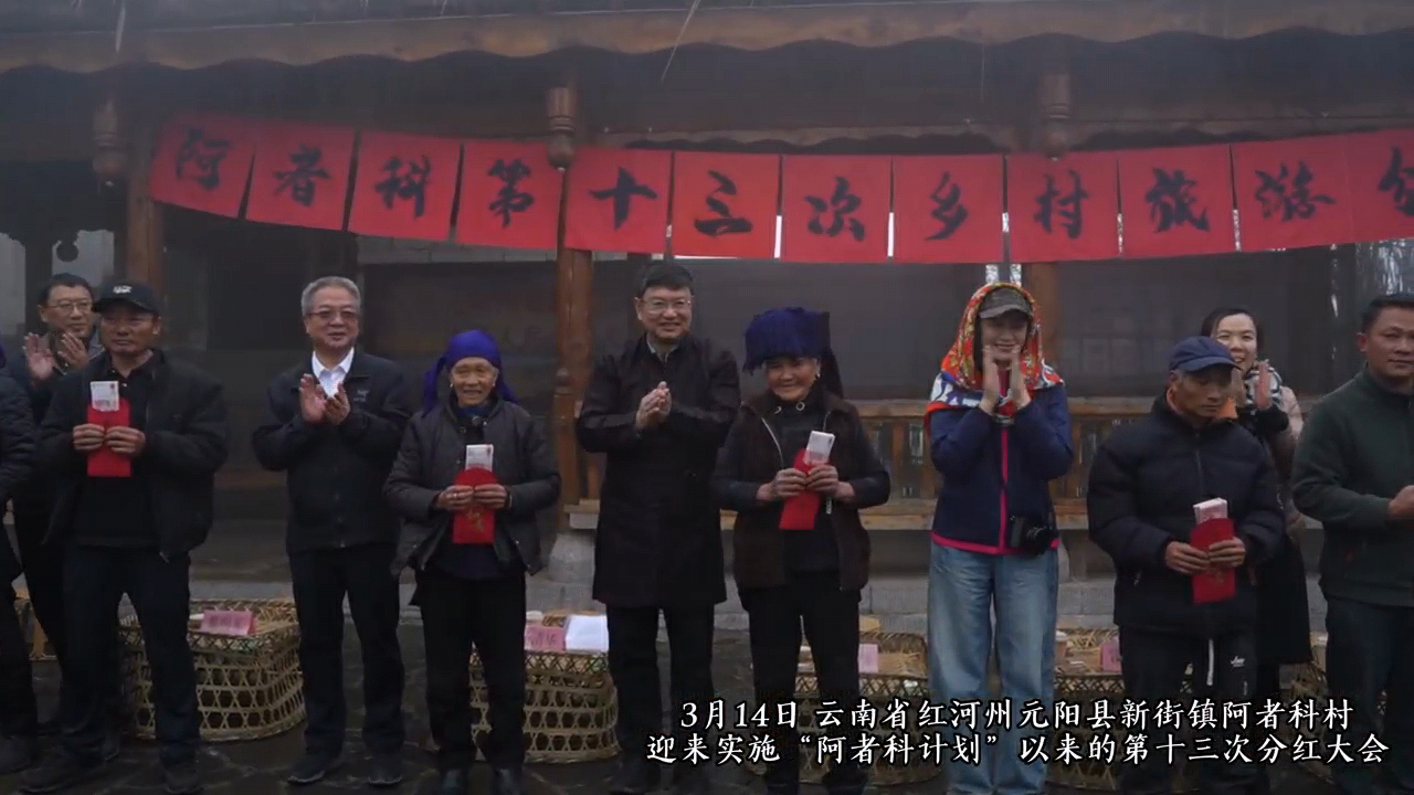 紅河元陽阿者科再分紅!村民喜領55萬，13次累計超400萬