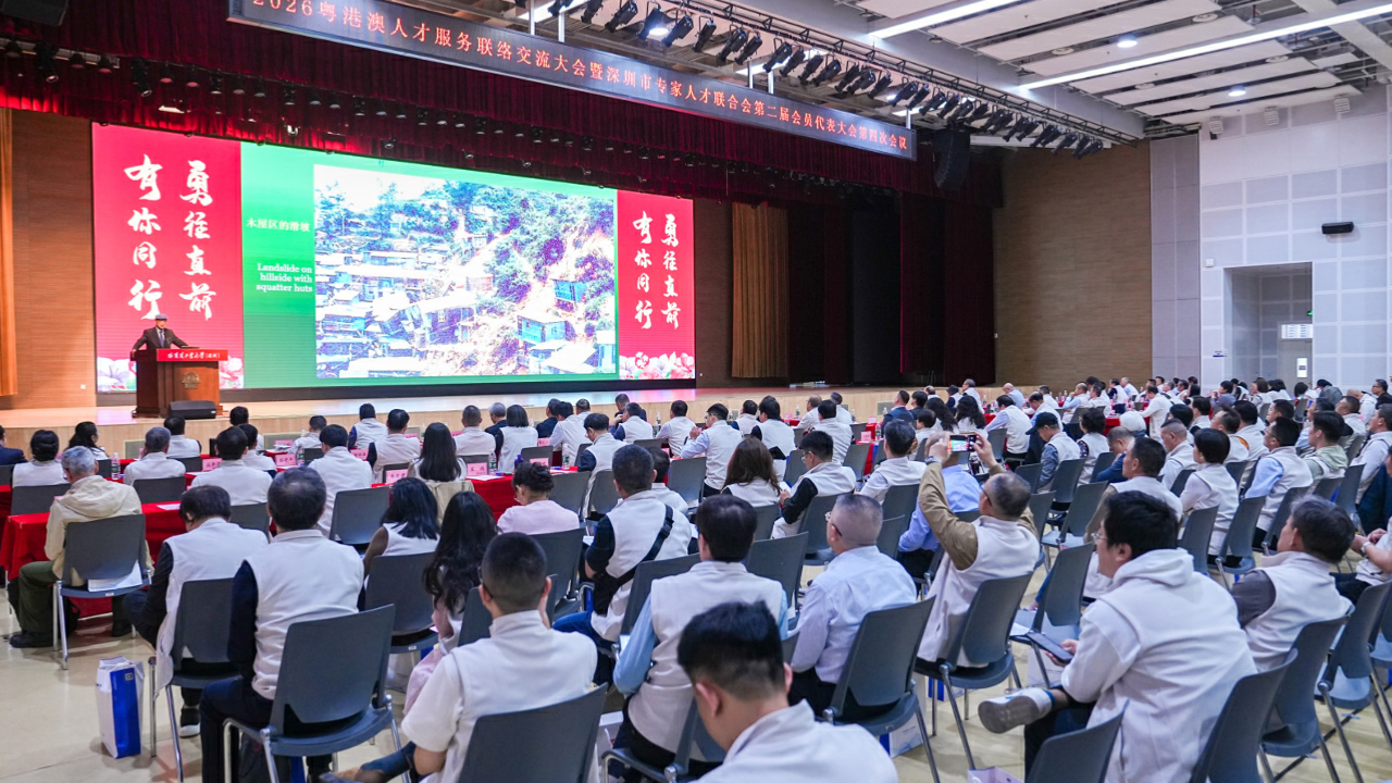 有片丨粵港澳人才聯動 共話發展新機遇