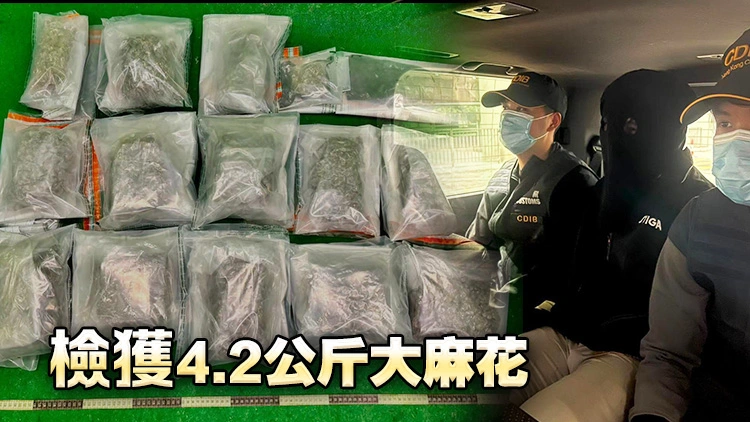 海關機場檢值87萬元大麻花 拘捕29歲男旅客