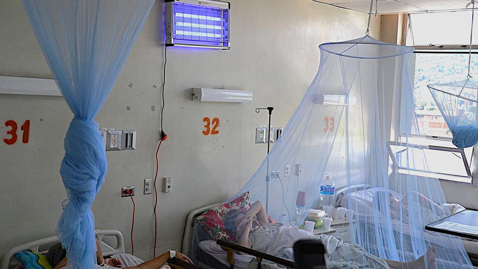 共享基金會在《刺針》刊文：物理防控中國方案有效應對全球登革熱威脅