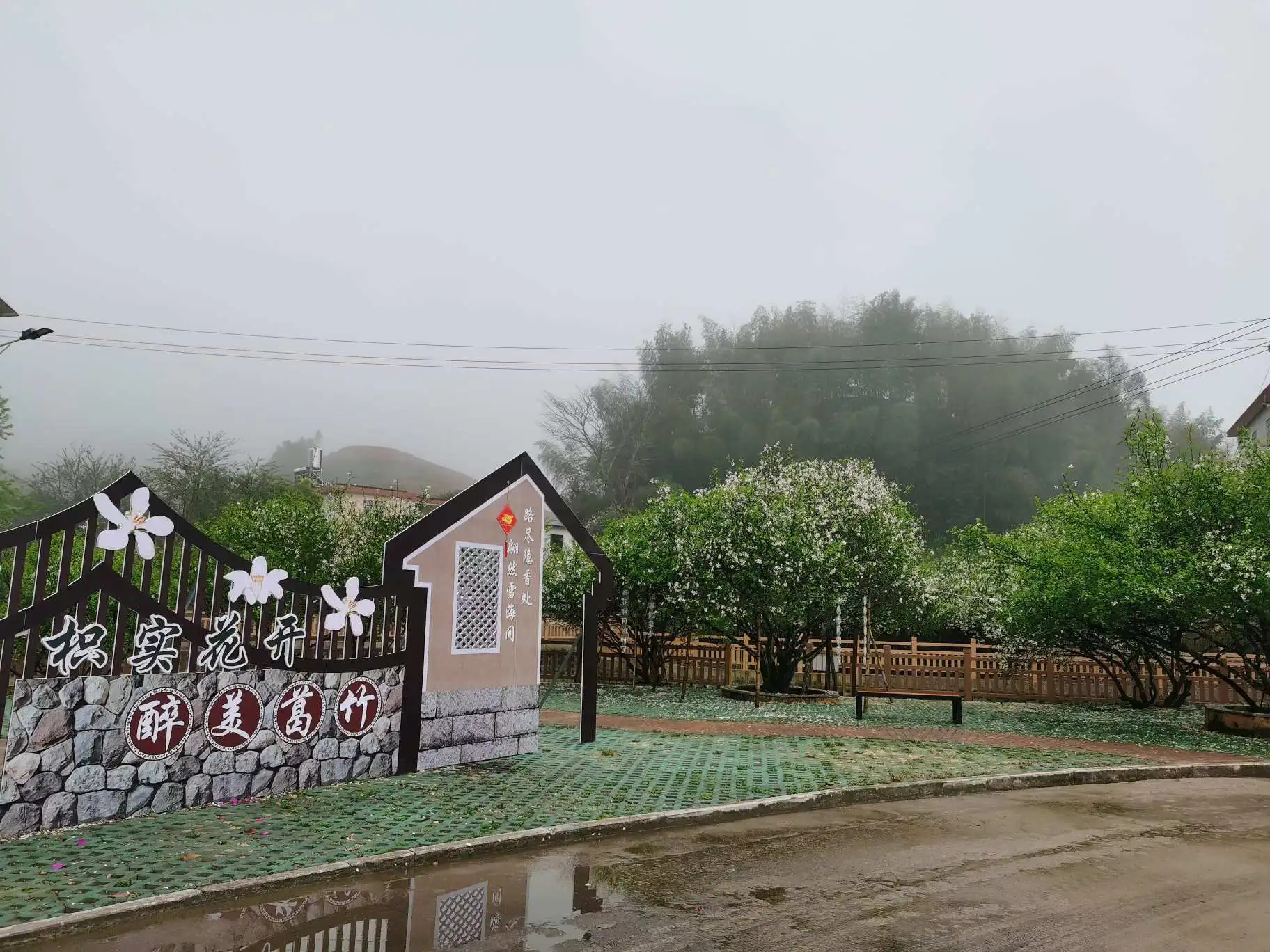 福建南靖「文旅體」生動實踐—2026年葛竹枳實花觀賞活動暨農民趣味運動會成功舉辦