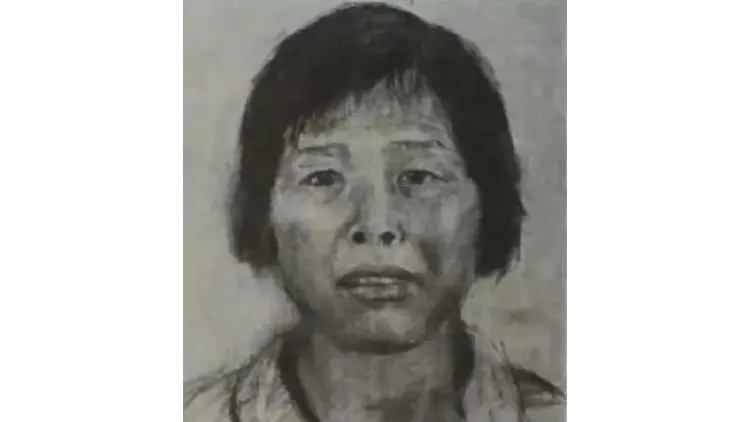 人販子「梅姨」歸案