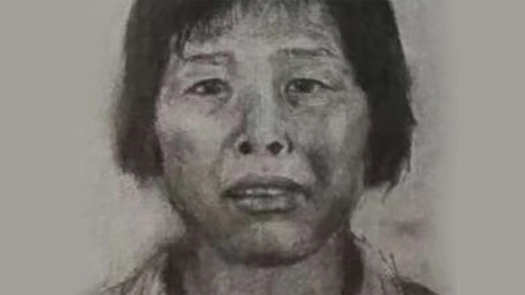 央媒聚焦：人販子「梅姨」落網 她為何多年難抓捕？