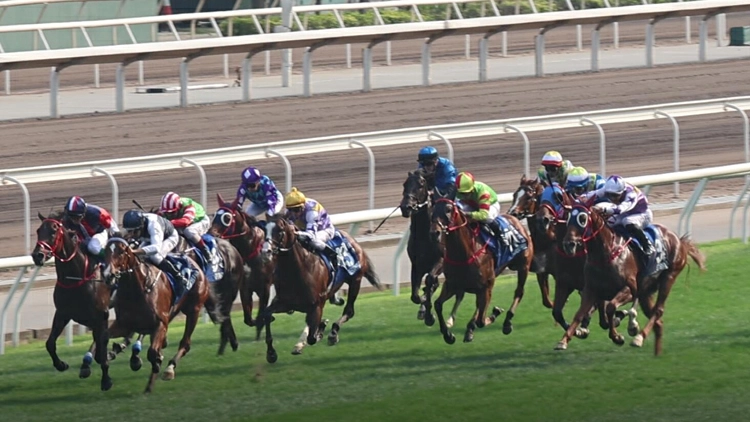 有片 | 廖康銘成功補中 白鷺金剛打吡稱王